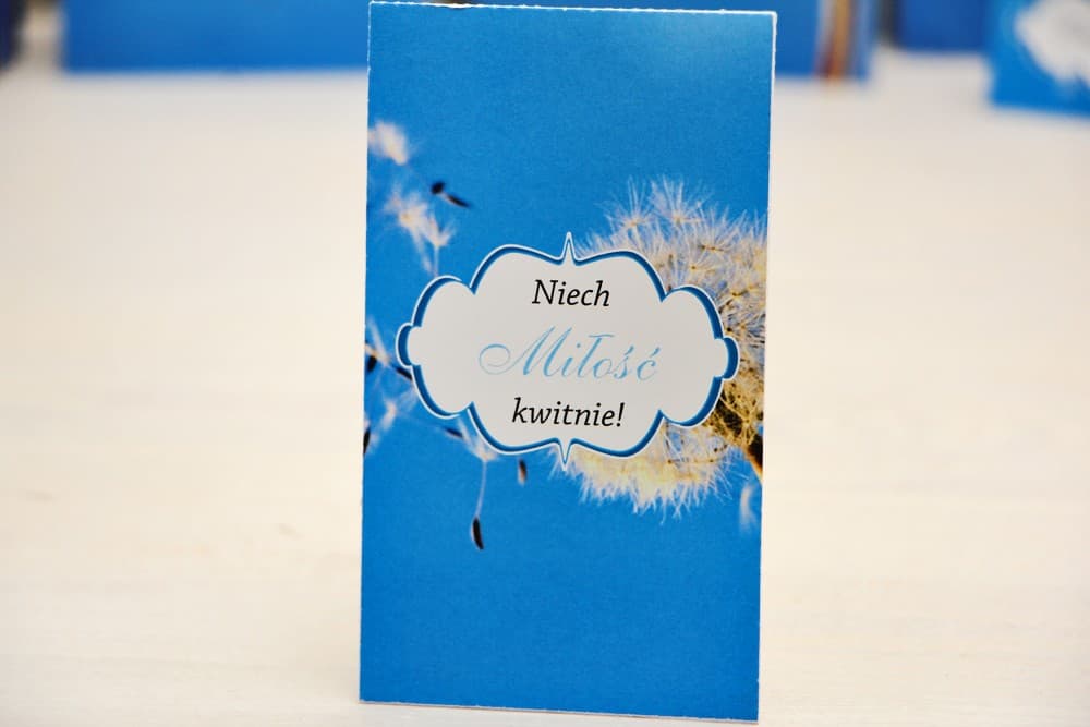 Nasiona Niezapominajki z Dmuchawcem, Eko Podziękowania dla Gości | Oryginalne Upominki Weselne | Felicja nr 11