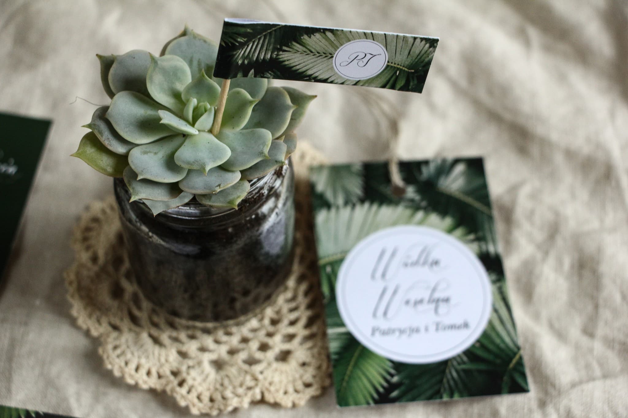 Sukulent w słoiczku podziękowanie dla gości, motyw botaniczny | Eko upominki weselne | Botanik nr 2