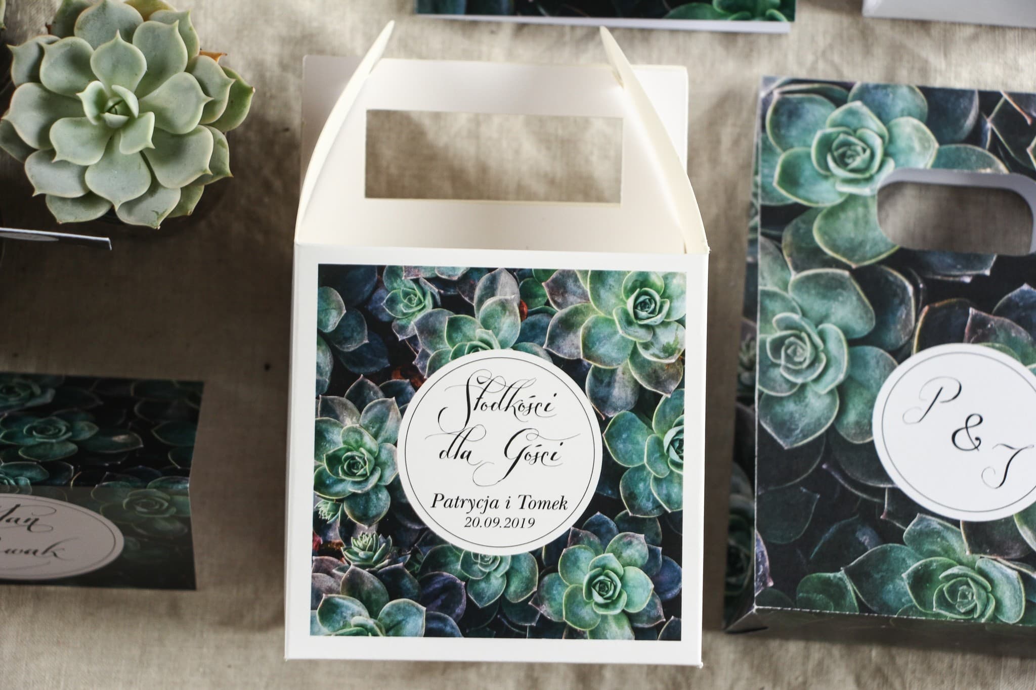 Botaniczne pudełka na ciasto z eukaliptusem | Personalizowane opakowania dla gości weselnych | Botanik nr 3