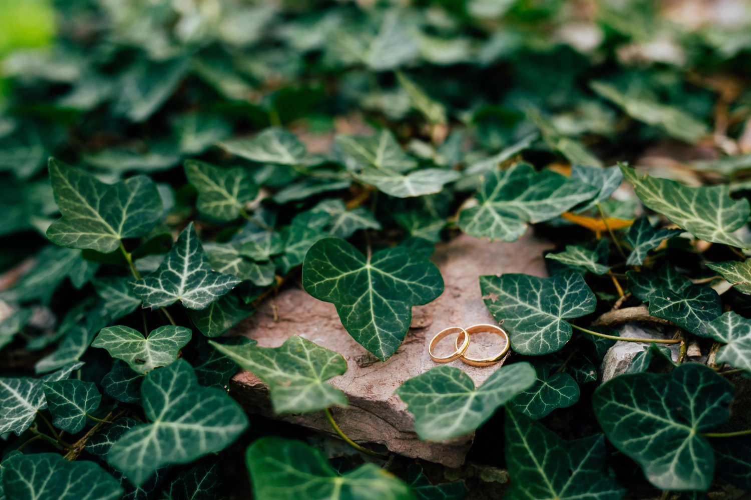 Zielone wesele – jak zorganizować uroczystość w stylu eko i zero waste